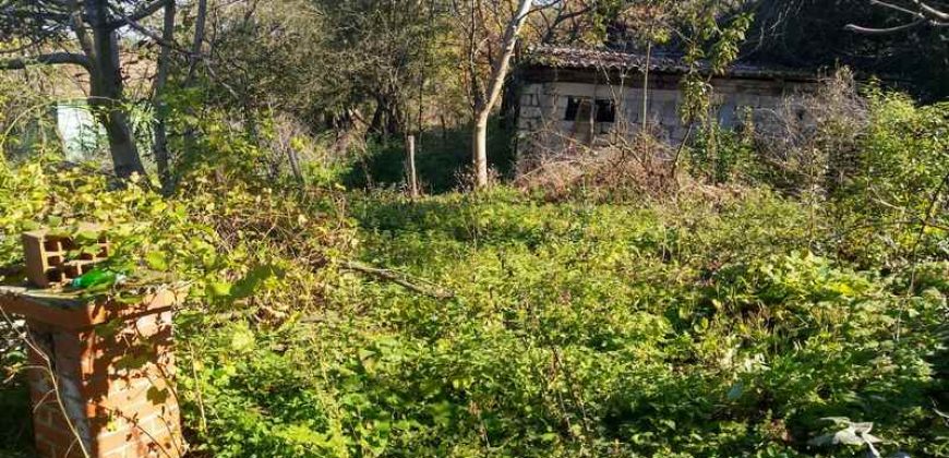 Boljevc, Rtanj – Bačevica 72kvm + 7,24ari