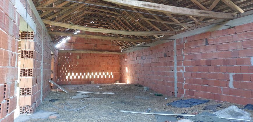 Boljevac, Rtanj – Krivi vir 75kvm + 11,83ari