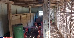 Boljevac, Rtanj – Krivi vir 75kvm + 11,83ari