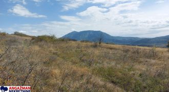 Boljevac, Rtanj -Krivi vir 22,87ari