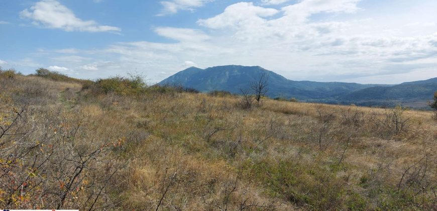 Boljevac, Rtanj -Krivi vir 22,87ari