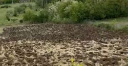 Sopot – Popović 66ari