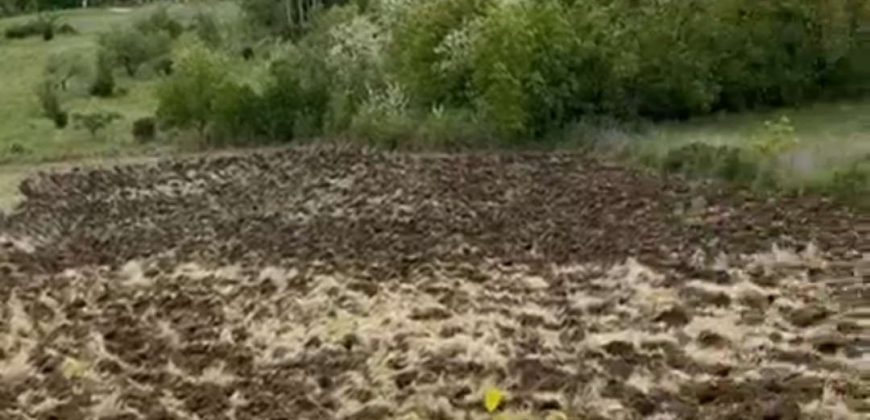 Sopot – Popović 66ari