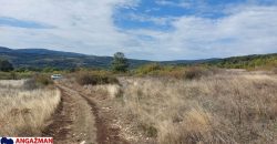 Boljevac, Rtanj – Krivi vir 1ha 48ari 66kvm