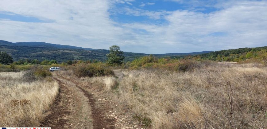 Boljevac, Rtanj – Krivi vir 1ha 48ari 66kvm