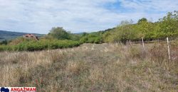 Boljevac, Rtanj -Krivi vir 22,87ari