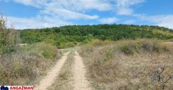 Boljevac, Rtanj – Krivi vir 1ha 48ari 66kvm