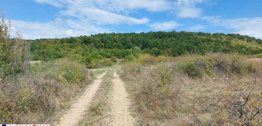 Boljevac, Rtanj – Krivi vir 1ha 48ari 66kvm