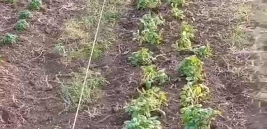 Sopot – Popović 66ari