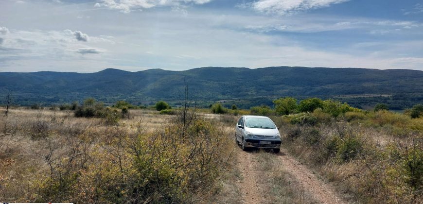 Boljevac, Rtanj – Krivi vir 1ha 48ari 66kvm