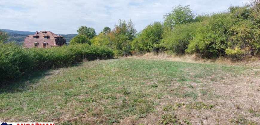 Boljevac, Rtanj -Krivi vir 22,87ari