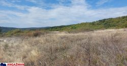 Boljevac, Rtanj – Krivi vir 1ha 48ari 66kvm