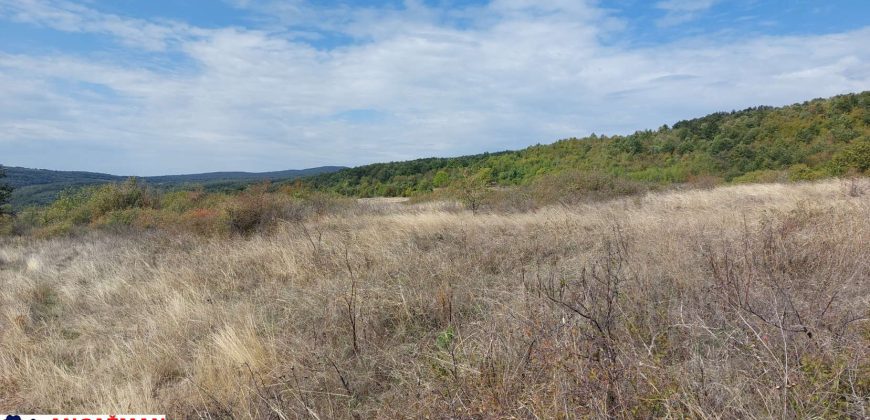 Boljevac, Rtanj – Krivi vir 1ha 48ari 66kvm