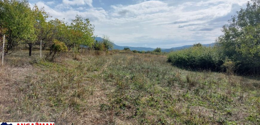 Boljevac, Rtanj -Krivi vir 22,87ari