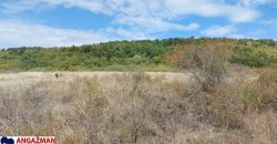 Boljevac, Rtanj – Krivi vir 1ha 48ari 66kvm