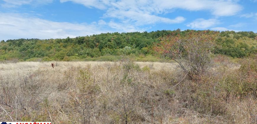 Boljevac, Rtanj – Krivi vir 1ha 48ari 66kvm