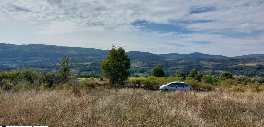 Boljevac, Rtanj -Krivi vir 22,87ari