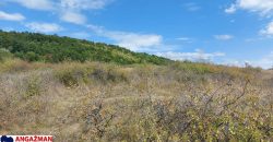 Boljevac, Rtanj – Krivi vir 1ha 48ari 66kvm