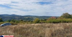 Boljevac, Rtanj -Krivi vir 22,87ari