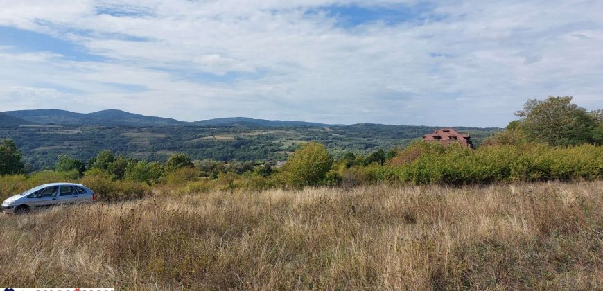 Boljevac, Rtanj -Krivi vir 22,87ari