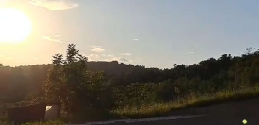 Sopot – Popović 66ari