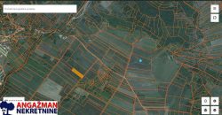 Boljevac, Rtanj – Krivi vir 1ha 48ari 66kvm