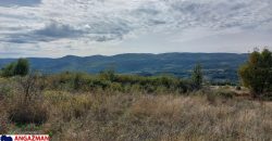 Boljevac, Rtanj -Krivi vir 22,87ari