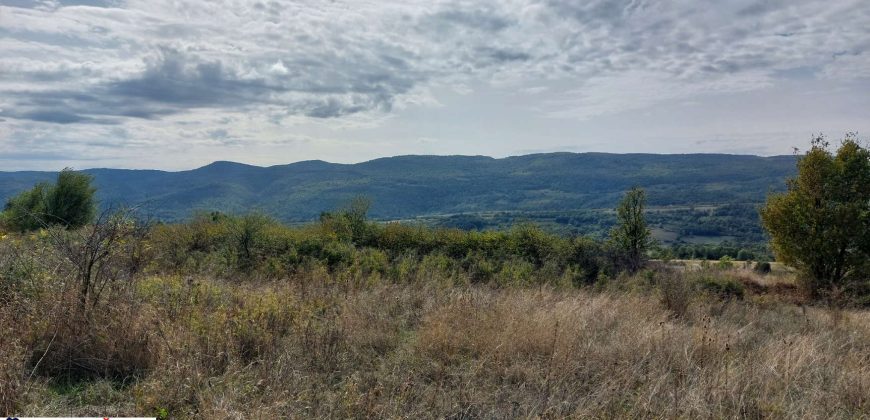 Boljevac, Rtanj -Krivi vir 22,87ari