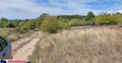 Boljevac, Rtanj -Krivi vir 22,87ari