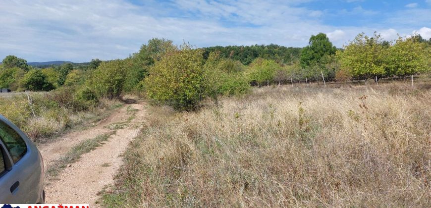 Boljevac, Rtanj -Krivi vir 22,87ari