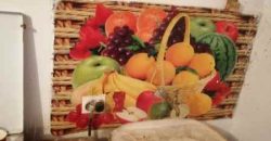 Boljevc, Rtanj – Bačevica 72kvm + 7,24ari