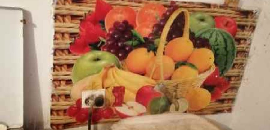 Boljevc, Rtanj – Bačevica 72kvm + 7,24ari