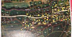 Boljevc, Rtanj – Bačevica 72kvm + 7,24ari