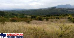 Boljevac, Rtanj – Vrbovac 9ha 97ari 99kvm