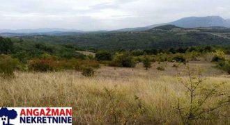 Boljevac, Rtanj – Vrbovac 9ha 97ari 99kvm