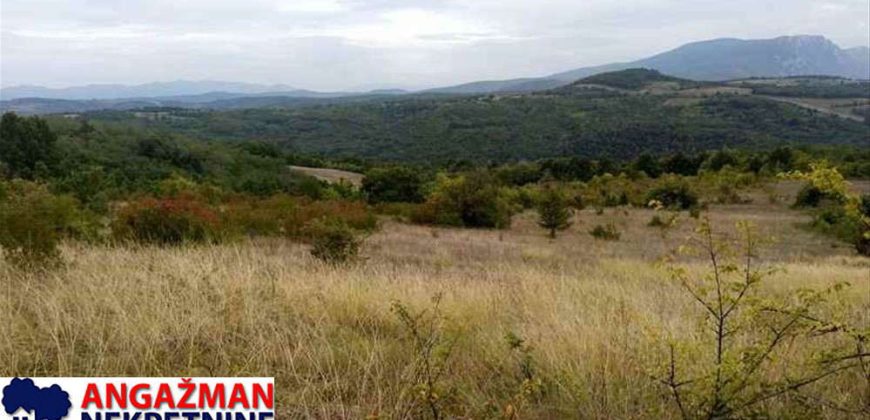 Boljevac, Rtanj – Vrbovac 9ha 97ari 99kvm