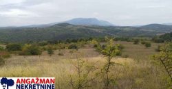 Boljevac, Rtanj – Vrbovac 9ha 97ari 99kvm
