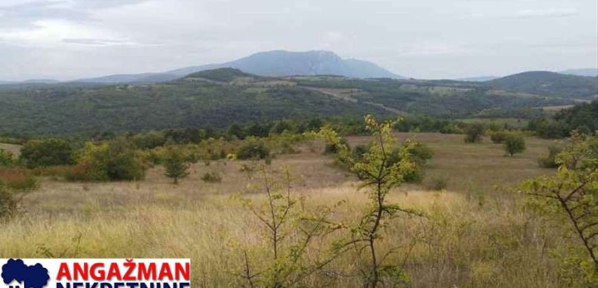 Boljevac, Rtanj – Vrbovac 9ha 97ari 99kvm