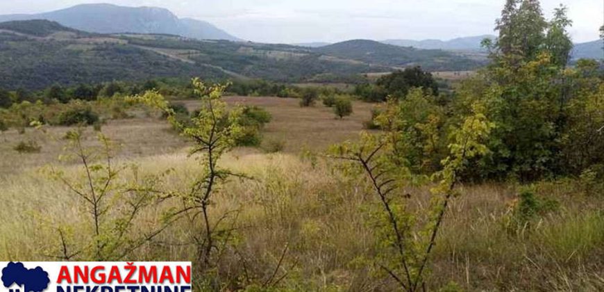 Boljevac, Rtanj – Vrbovac 9ha 97ari 99kvm