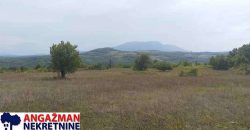 Boljevac, Rtanj – Vrbovac 9ha 97ari 99kvm