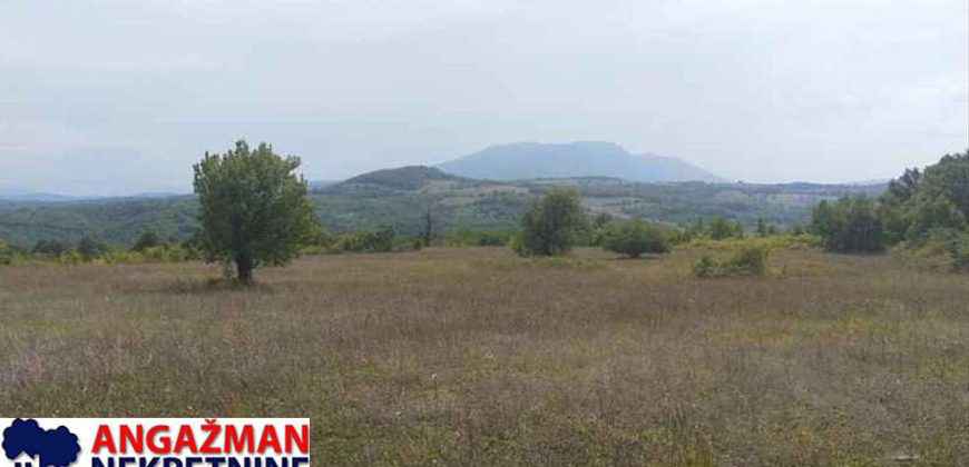 Boljevac, Rtanj – Vrbovac 9ha 97ari 99kvm