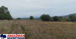 Boljevac, Rtanj – Vrbovac 9ha 97ari 99kvm