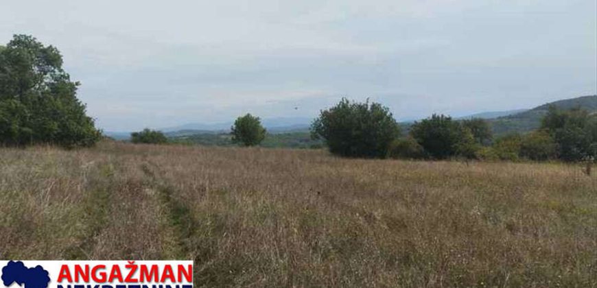 Boljevac, Rtanj – Vrbovac 9ha 97ari 99kvm