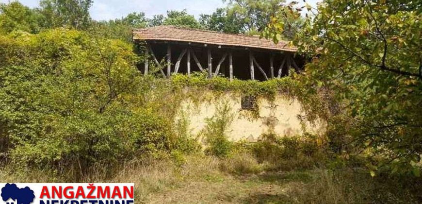 Boljevac, Rtanj – Vrbovac 9ha 97ari 99kvm