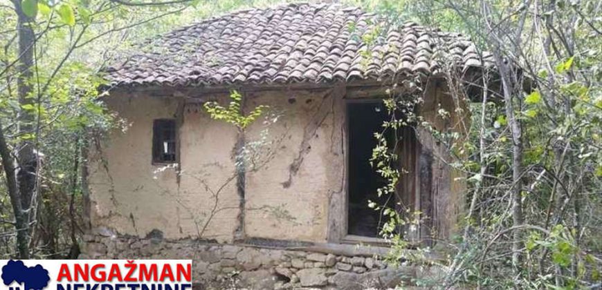 Boljevac, Rtanj – Vrbovac 9ha 97ari 99kvm