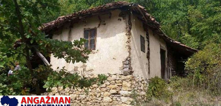 Boljevac, Rtanj – Vrbovac 9ha 97ari 99kvm