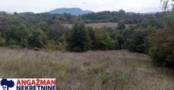 Boljevac, Rtanj – Vrbovac 9ha 97ari 99kvm