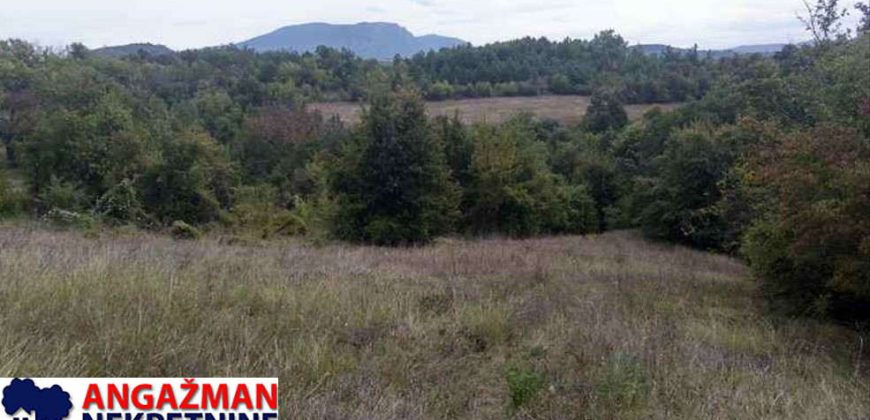 Boljevac, Rtanj – Vrbovac 9ha 97ari 99kvm