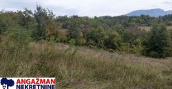Boljevac, Rtanj – Vrbovac 9ha 97ari 99kvm