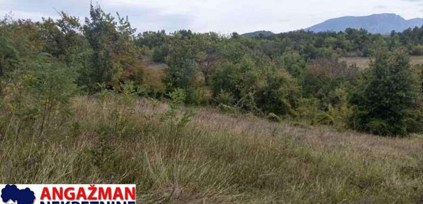 Boljevac, Rtanj – Vrbovac 9ha 97ari 99kvm